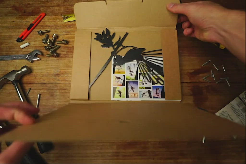 Fantail / New Zealand Pīwakawaka