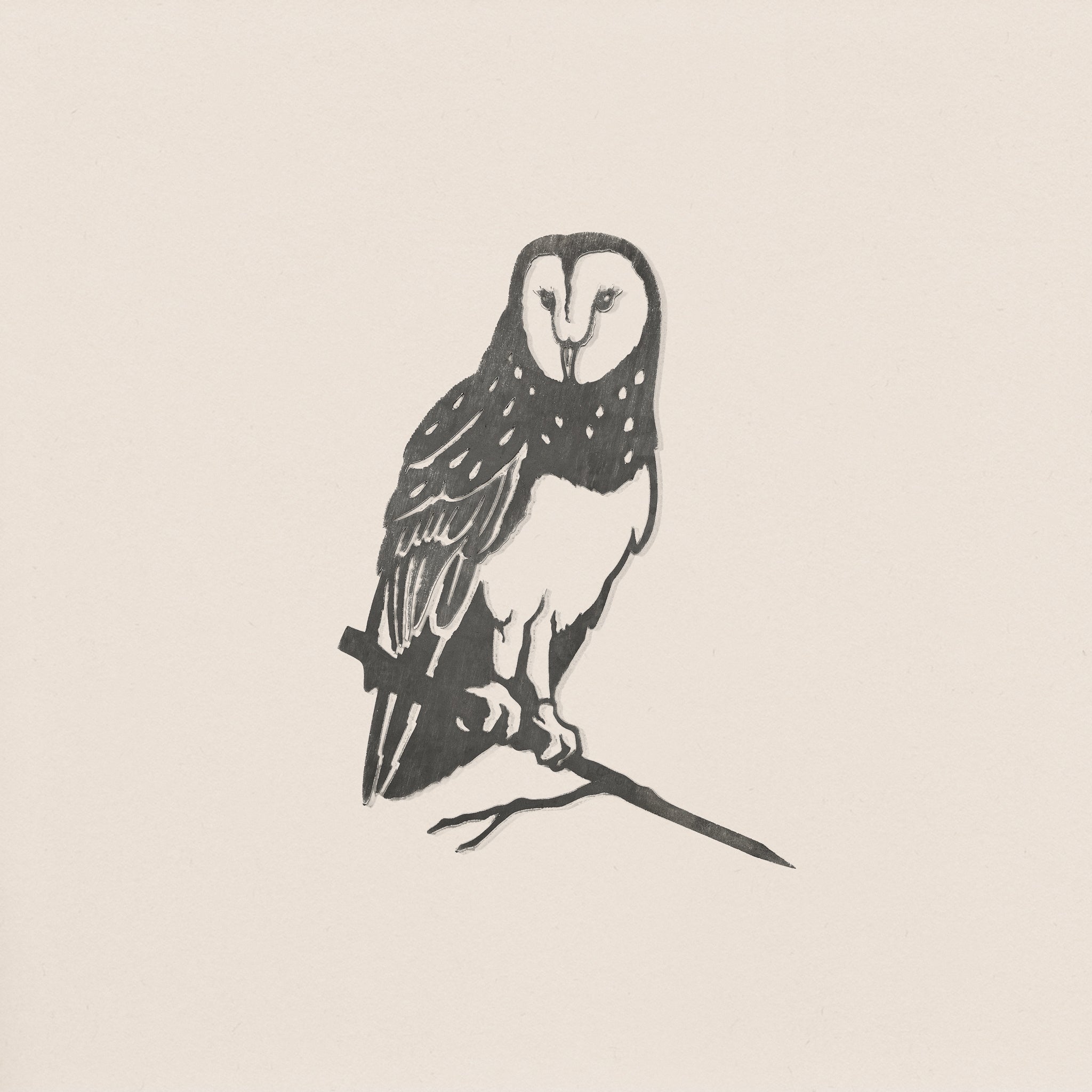 Barn Owl by Metalbird Canada: a black-and-white ink drawing featuring a detailed owl perched on a thin branch against a light background. Its striking feathers and facial disc inspire unique corten steel yard art or make a thoughtful gift.