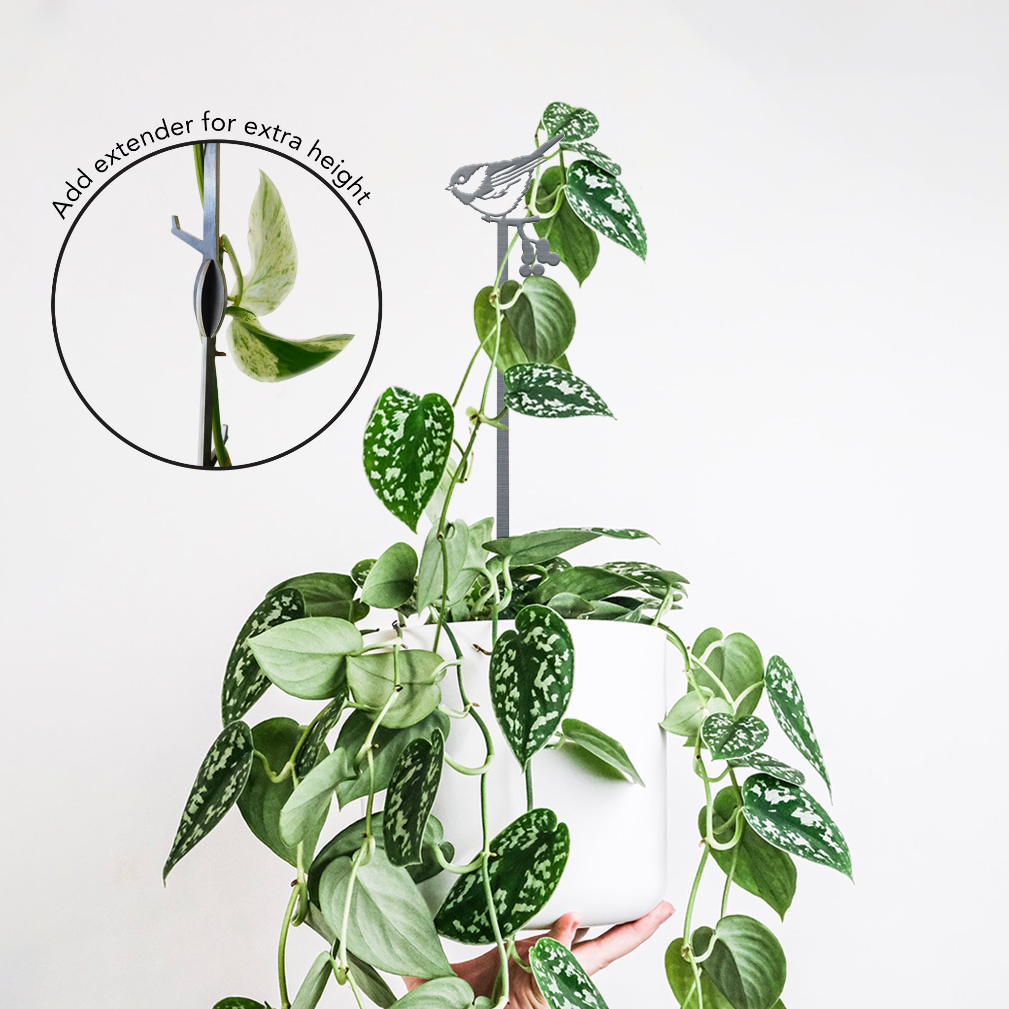 The Chickadee Plant Stake - 25" by Metalbird Canada supports trailing houseplants with a slim metal trellis topped by a chickadee bird decoration. An extender option is shown to increase trellis height for added plant support.