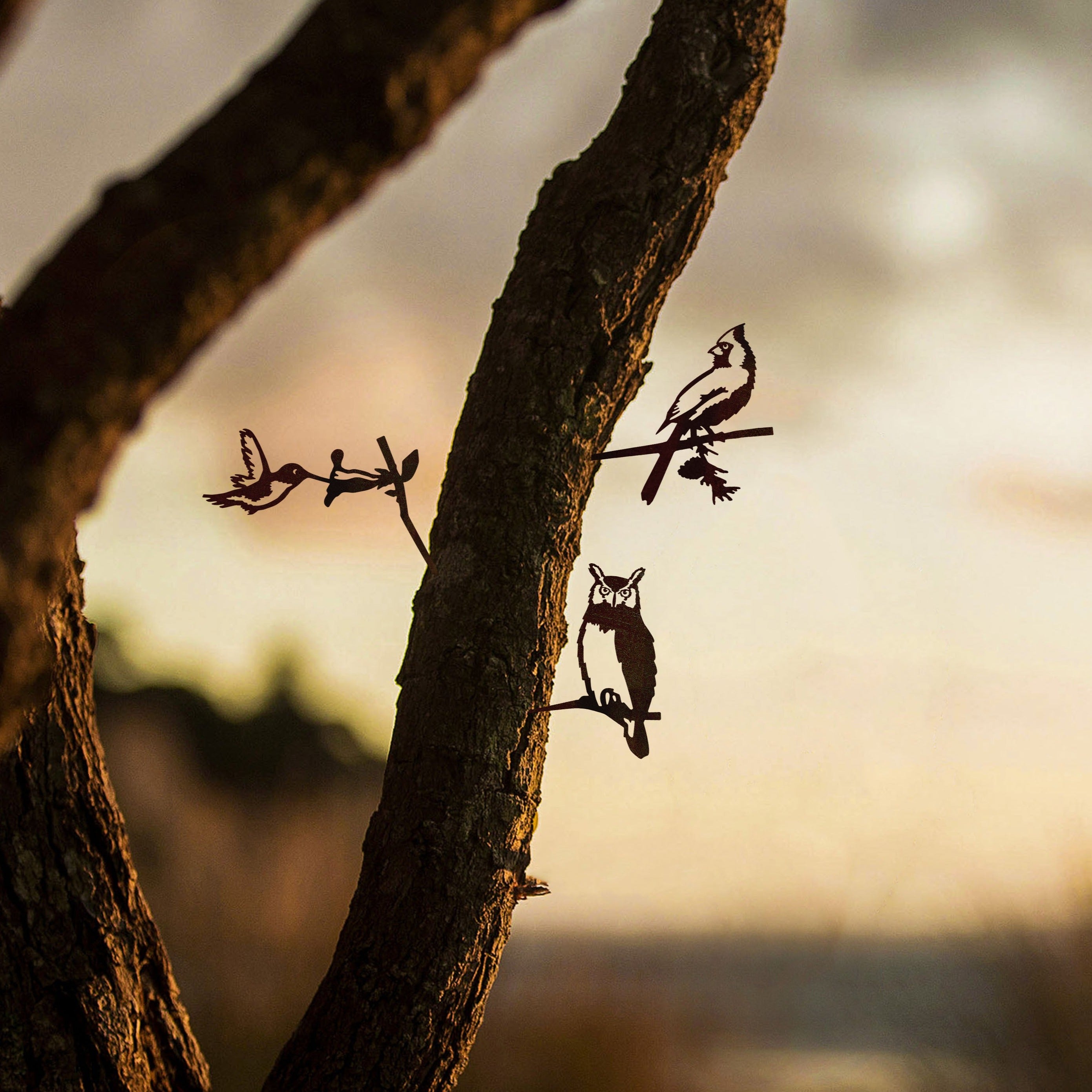 The Baby Bird Bundle by Metalbird Canada features metal bird silhouettes attached to a tree trunk at sunset, offering unique yard art or a thoughtful gift against a blurred natural backdrop.