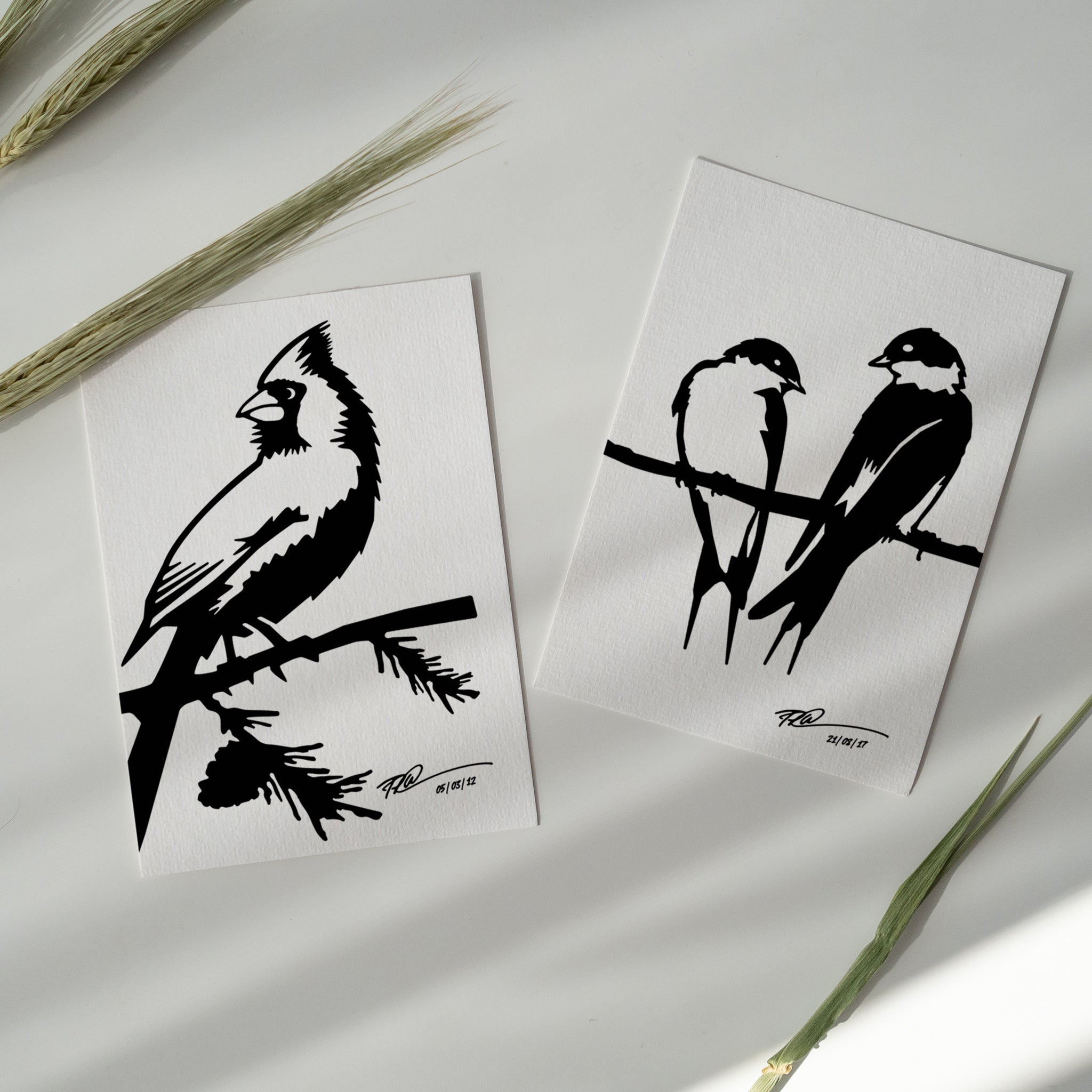 The Metalbird Greeting Card Set by Metalbird Canada features black paper-cut style bird silhouettes—a cardinal on a branch and two perched swallows—on white cards with dried grass detail; a unique, artful gift for garden lovers.