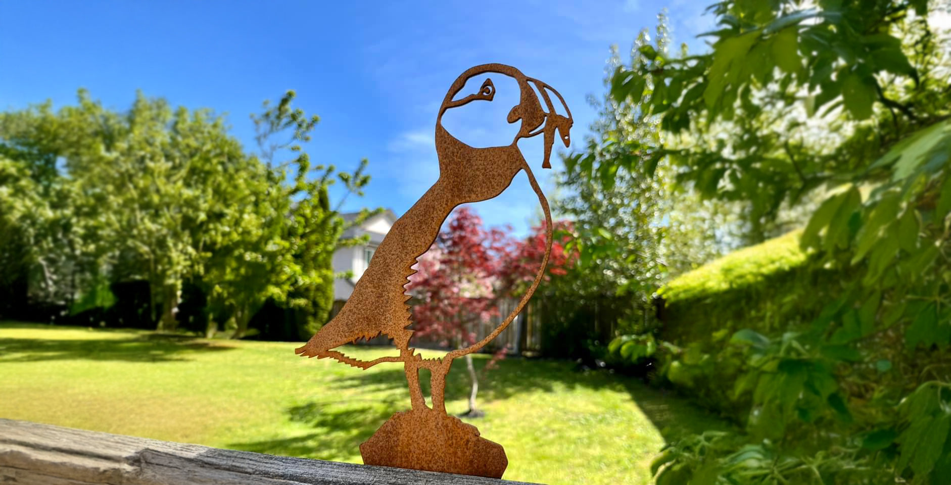 Bring the Backyard to Life