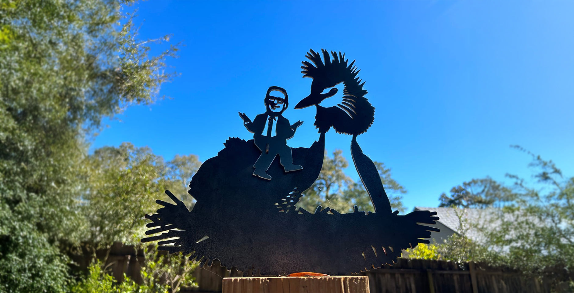 Limited Bird. Long-Term Impact.