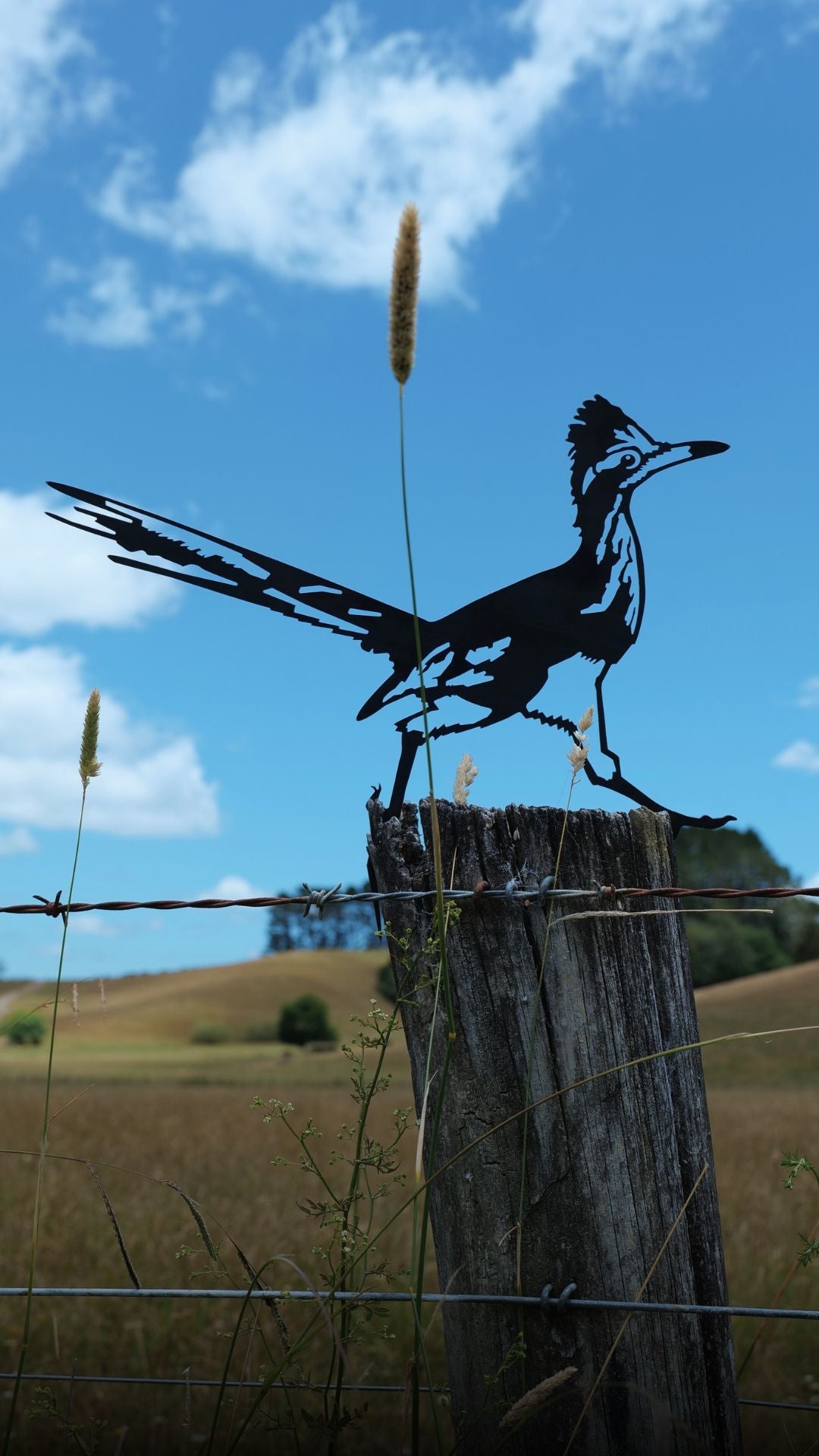 Ground Birds