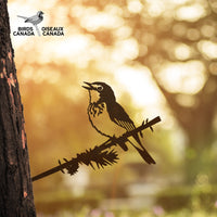 A Canada Warbler corten steel silhouette by Metalbird Canada perches on a branch against a sunlit, blurry background. The Birds Canada logo appears in the top left, making it a perfect gift for bird lovers.