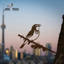 The Canada Warbler by Metalbird Canada features a metal silhouette of the bird on a branch, set against the Toronto skyline with CN Tower—an ideal gift for nature lovers. The Birds Canada logo is included in the design.