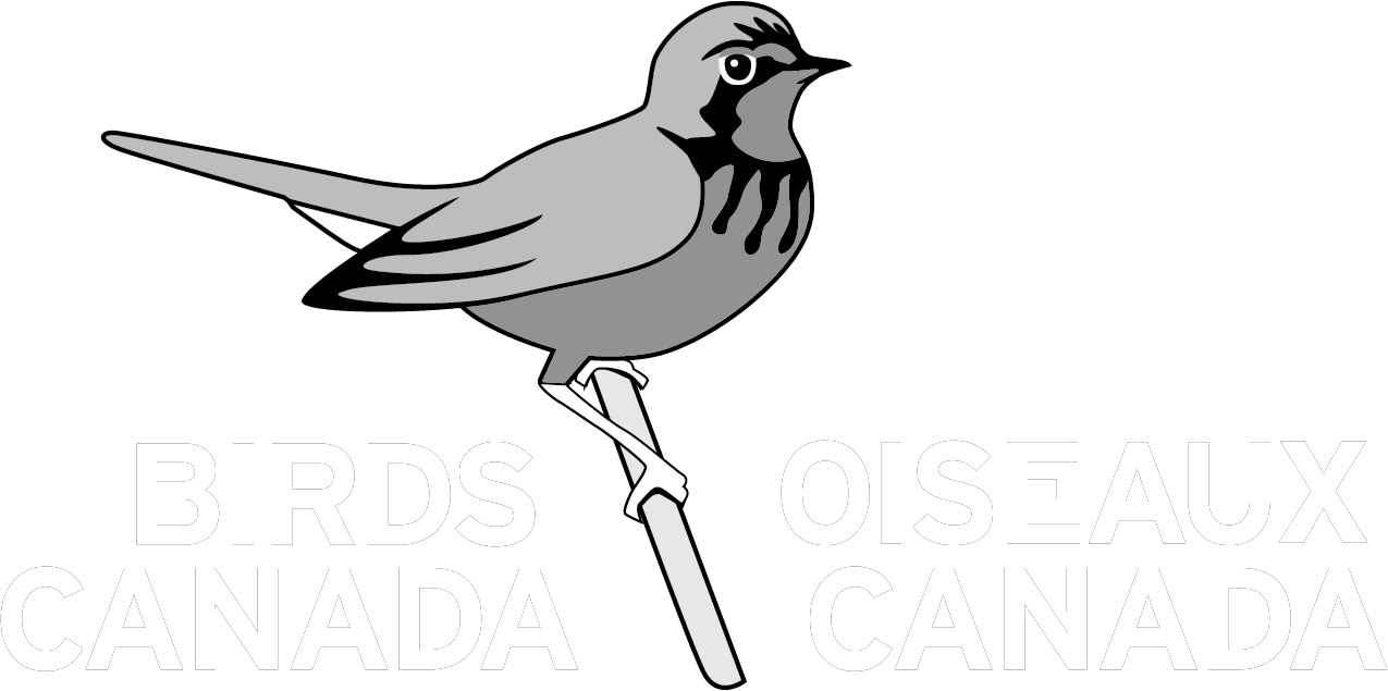 BirdsCanada-logo-whitetxt.png