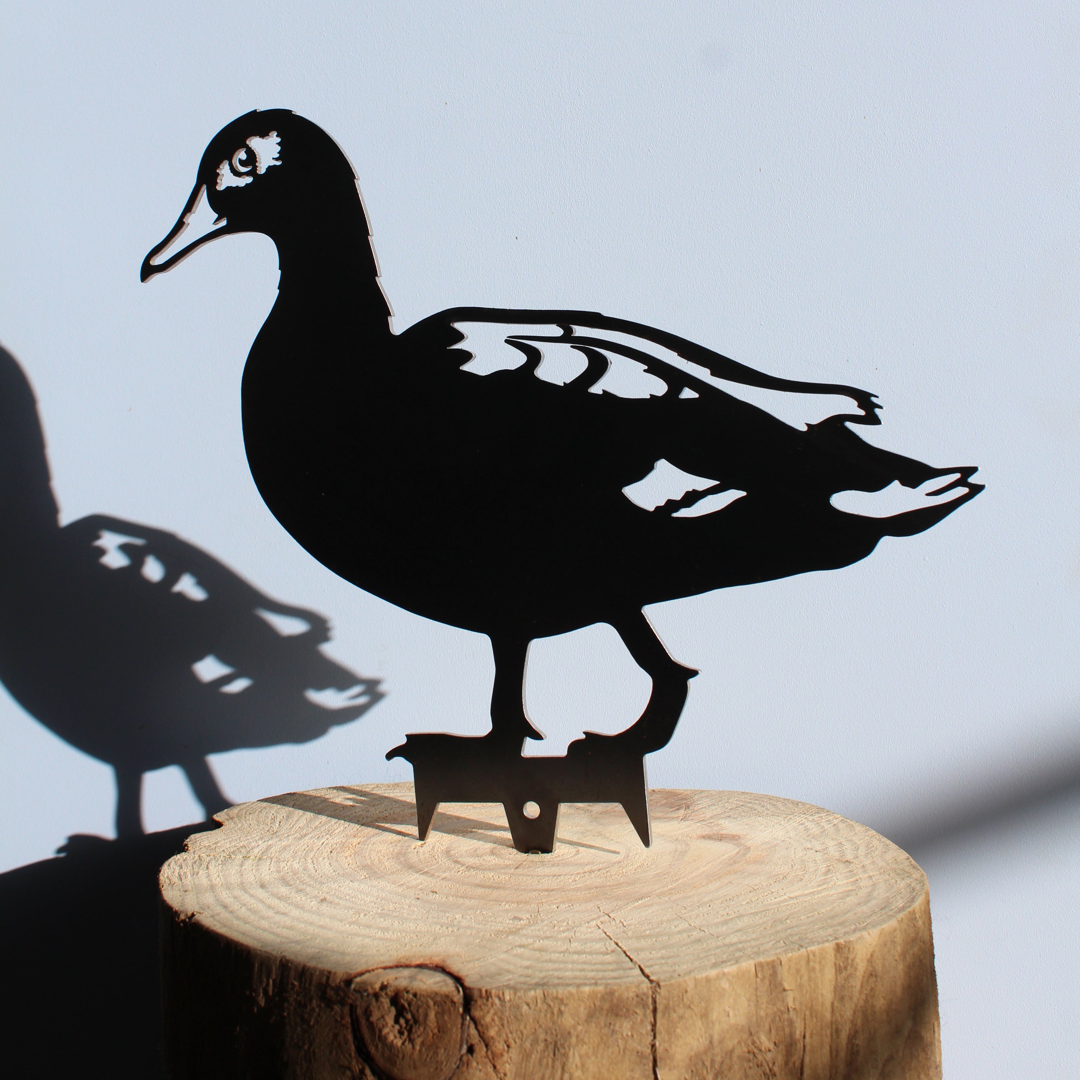 The Laysan Duck by Metalbird Canada - CC is a black metal duck silhouette mounted on a wooden log, casting a striking shadow on light blue—ideal as unique garden art or a thoughtful gift.