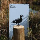 A Laysan Duck silhouette by Metalbird Canada - CC, made from black corten steel, stands on a wooden post before a BirdLife International sign, with tall grass and water in the background.