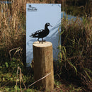 A Laysan Duck silhouette by Metalbird Canada - CC, crafted from metal, is mounted on a wooden log near tall grasses and reeds by a pond, in front of a BirdLife International sign.