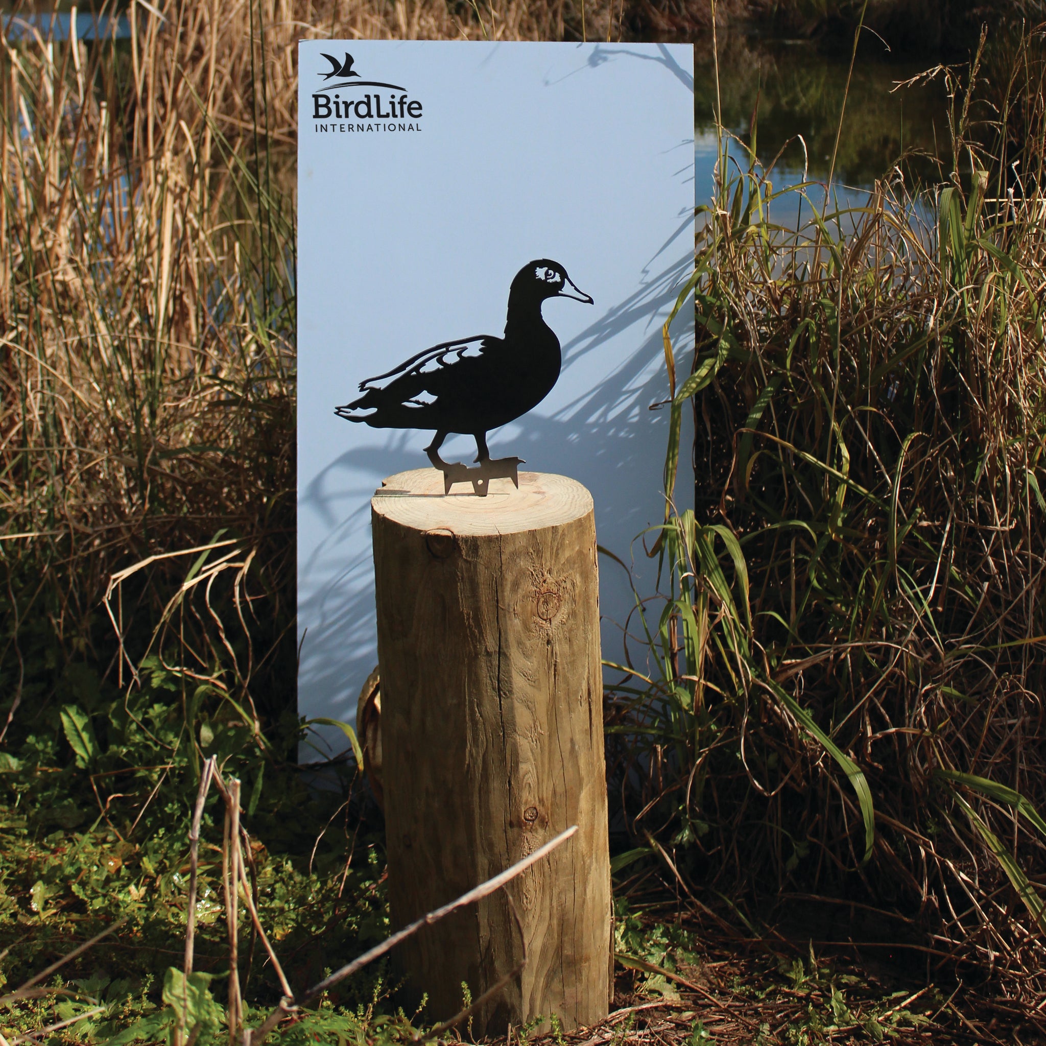 A Laysan Duck silhouette by Metalbird Canada - CC, crafted from metal, is mounted on a wooden log near tall grasses and reeds by a pond, in front of a BirdLife International sign.