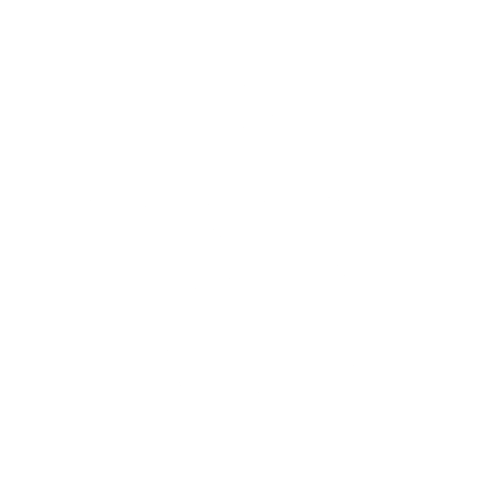 The Metal Bird that Forgot the Border