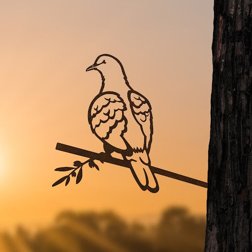 Turtle Dove
