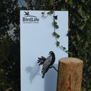 A metal Manumea sign by Metalbird Canada - CC, featuring a bird silhouette and logo, stands by a wooden post with green ivy climbing over it and leafy foliage in the background.