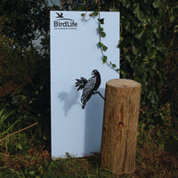 A Manumea bird silhouette by Metalbird Canada - CC perches on a wooden post beside a white BirdLife International sign, adorned with green ivy and set against lush foliage—blending yard art and nature perfectly.