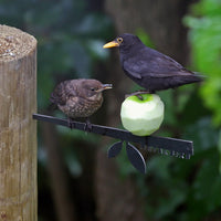 Two birds perch on the Stick Bird Feeder by Metalbird Canada, attached to a wooden post—one a blackbird on a green apple, the other a brown juvenile—set against lush foliage. A charming piece of yard art or thoughtful gift for nature lovers.
