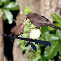 A hungry chick with an open beak is fed by an adult bird as they perch on the Stick Bird Feeder by Metalbird Canada, with lush green leaves and tree trunks softly blurred in the background.