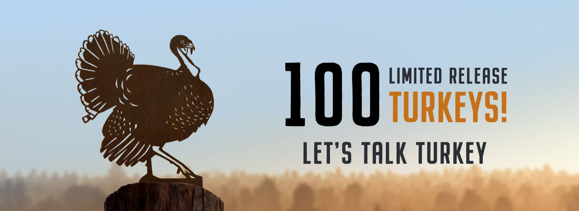turkey_banner_2025.jpg
