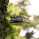 The Metalbird Canada Bowl Feeder, featuring a decorative hummingbird and flower silhouette in corten steel, is mounted on a tree trunk with blurred green foliage in the background.