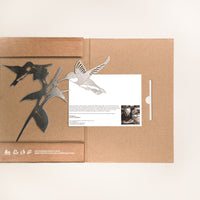 A flat cardboard package displays the Hummingbird Honeys corten steel yard ornament by Metalbird Canada and an info card with a photo of a person and details, all set against a light background.