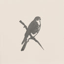 A simple pencil sketch of a Peregrine Falcon by Metalbird Canada shows the bird perched diagonally on a branch against a light background, its detailed gray silhouette facing right with wings folded, evoking elegant garden art.
