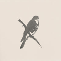 A simple pencil sketch of a Peregrine Falcon by Metalbird Canada shows the bird perched diagonally on a branch against a light background, its detailed gray silhouette facing right with wings folded, evoking elegant garden art.