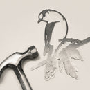 Whiskey Jack / Canada Jay