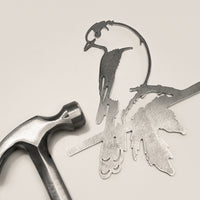 Whiskey Jack / Canada Jay