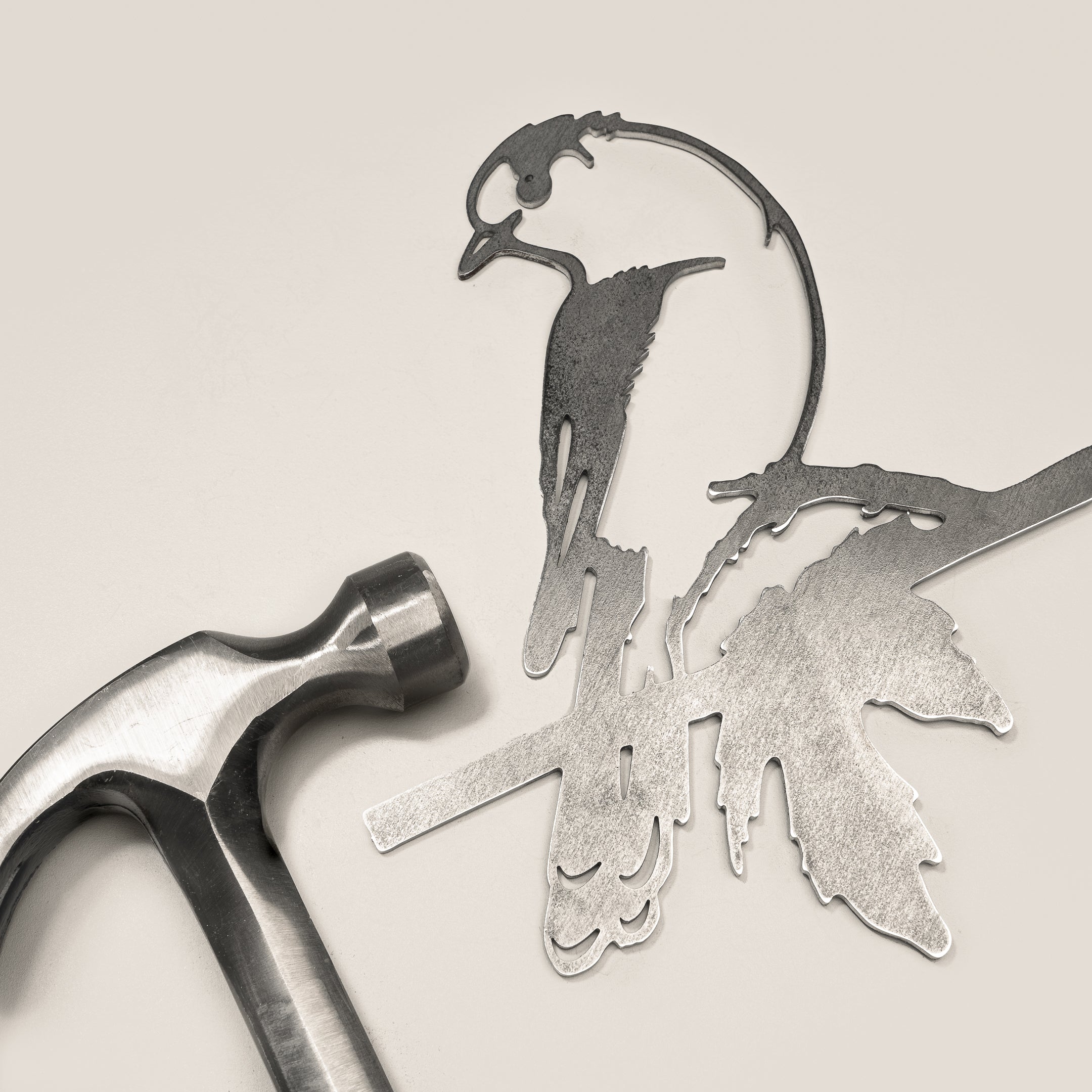 Whiskey Jack / Canada Jay