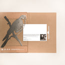 The Peregrine Falcon by Metalbird Canada features a cardboard folder with a metal falcon silhouette cutout on the left, partially covering a white card with black text and a small black-and-white photo on the right. Minimalist background, ideal for gifting.