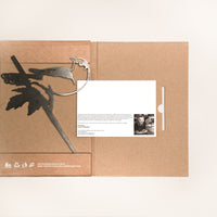 Whiskey Jack / Canada Jay