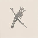 Blue Jay by Metalbird Canada: a simple grayscale line drawing of a jay with a distinct crest and patterned tail perched on a thin branch against an off-white background—an elegant silhouette, perfect as a gift.