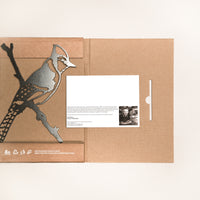 Blue Jay by Metalbird Canada: A brown cardboard folder with a metallic blue jay on a branch, inspired by corten steel, includes a white card with printed text and photo—a distinctive and memorable gift.