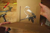 Whiskey Jack / Canada Jay