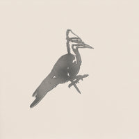 The Pileated Woodpecker by Metalbird Canada features a grayscale, minimalist design highlighting the bird’s crest and long beak—ideal inspiration for corten steel yard art against a simple light background.