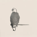 A minimalist, monochrome sketch of a Bald Eagle perched on a branch by Metalbird Canada, set against a light background—ideal as inspiration for corten steel yard art or a distinctive gift.