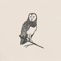 Barn Owl by Metalbird Canada: a black-and-white ink drawing featuring a detailed owl perched on a thin branch against a light background. Its striking feathers and facial disc inspire unique corten steel yard art or make a thoughtful gift.