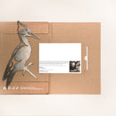 A unique gift: the Pileated Woodpecker folder by Metalbird Canada, made from recycled cardboard with a metal bird cutout. Includes a postcard featuring a black-and-white photo and text—perfect for garden art lovers.