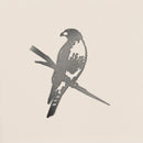 The Red-Tailed Hawk by Metalbird Canada is a corten steel silhouette of a hawk with folded wings, perfect for eye-catching yard art or as a unique gift, shown here against a light background.