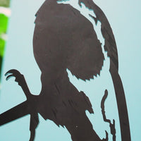 Ivory-Billed Woodpecker