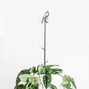 A leafy potted plant is supported by the Metalbird Canada Cardinal Plant Stake - 40", a tall black metal stake topped with a decorative bird silhouette, set against a plain white background.