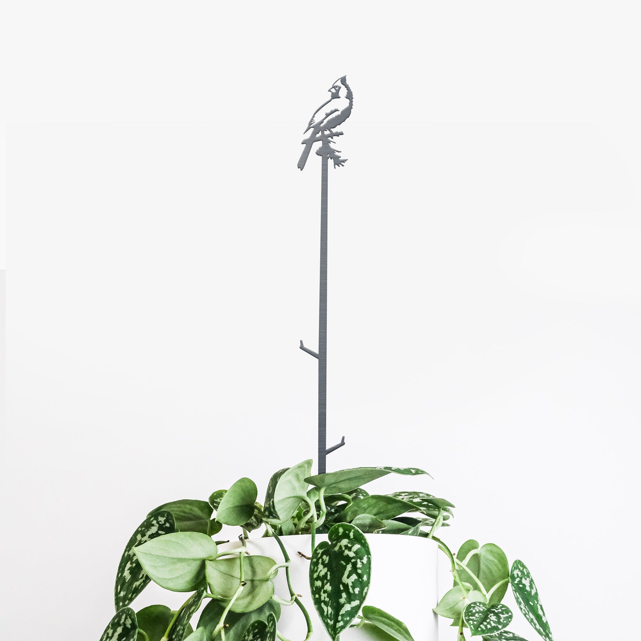 Cardinal Plant Stake - 40"