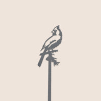 The Metalbird Canada Cardinal Plant Stake - 40" features a metal cardinal perched on a branch, creating striking yard art that stands out beautifully against any plain background.