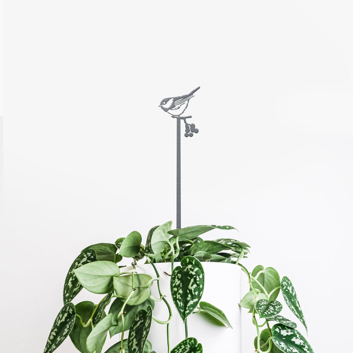 Chickadee steel plant stake standing in a pot beside green houseplant leaves.