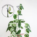The Chickadee Plant Stake - 25" by Metalbird Canada supports trailing houseplants with a slim metal trellis topped by a chickadee bird decoration. An extender option is shown to increase trellis height for added plant support.