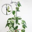 A hand holds a white pot with a trailing variegated plant, supported by the Metalbird Canada Hummingbird Plant Stake - 25", ideal as garden art. An inset displays an extender to increase the stake’s height.