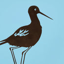 Black Stilt