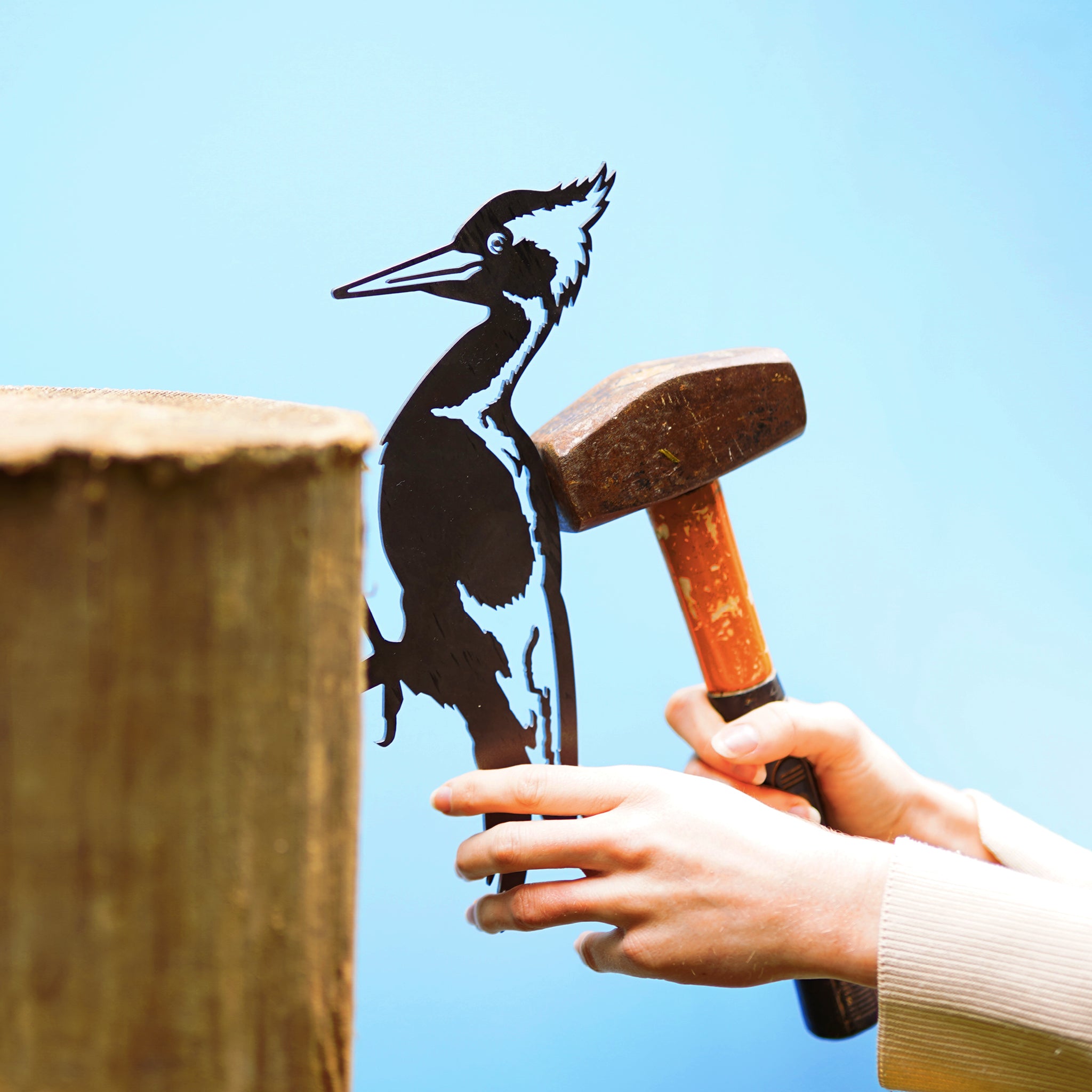 Ivory-Billed Woodpecker