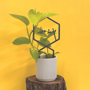 A green pothos in a white ribbed pot sits on a tree stump, supported by the Hummingbird Plant Trellis from Metalbird Canada, featuring a bird and branch silhouette, all set against a bright yellow background.