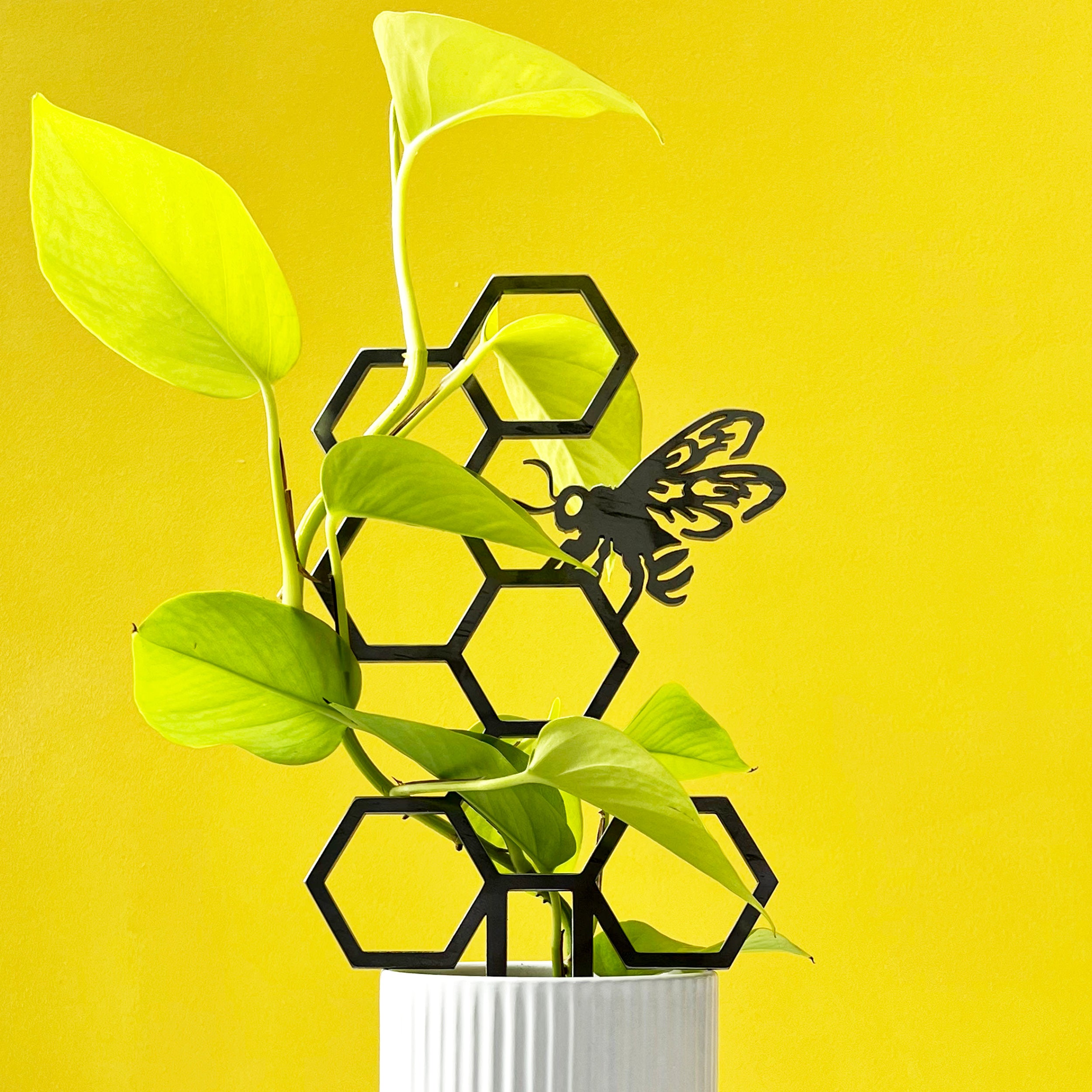 Honeybee Plant Trellis